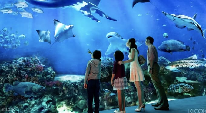 S.E.A. Aquarium Singapore