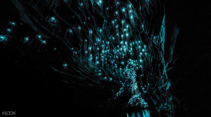 Glow Worm Caves