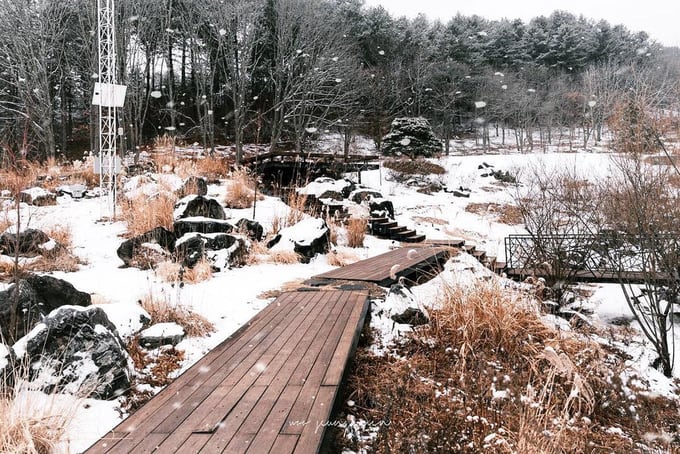 korea-winter-gems-garden-morning-calm