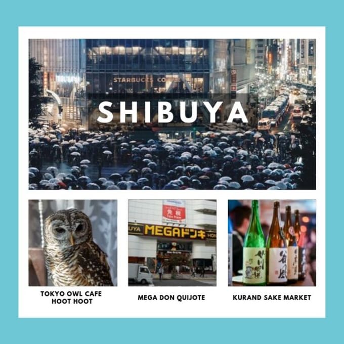 tokyo-subway-guide-station-shibuya