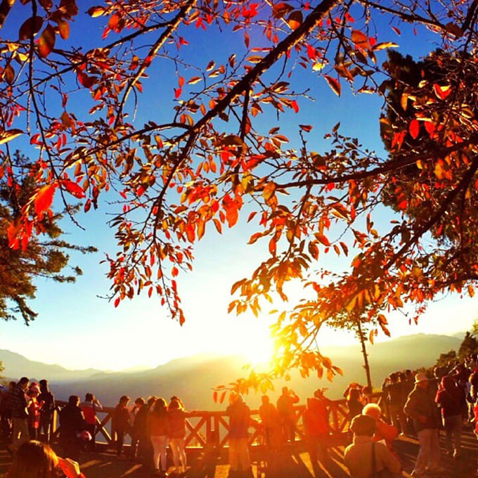 Leaf Your Worries Behind With These Autumn Sightseeing Spots In Taiwan