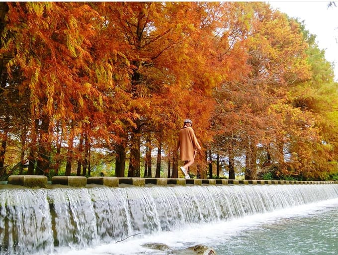 Leaf Your Worries Behind With These Autumn Sightseeing Spots In Taiwan