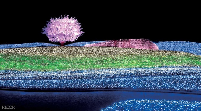 japan-winter-chase-nabana