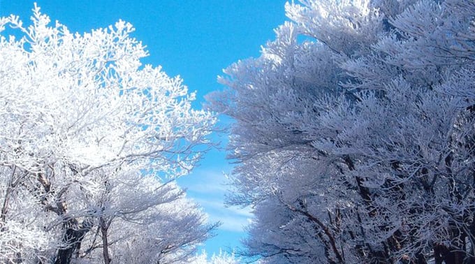 japan-winter-chase-gozaisho