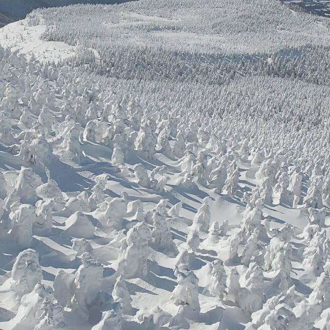 japan-winter-chase-zao