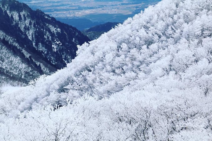 japan-winter-chase-gozaisho