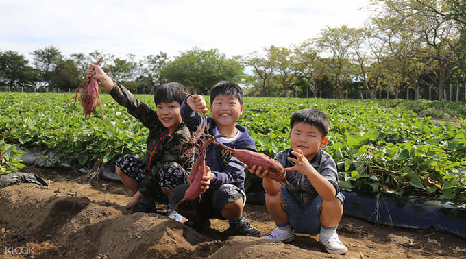 under-20-tokyo-chiba-mother-farm