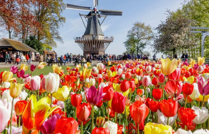 Klook UK - Klook Unique