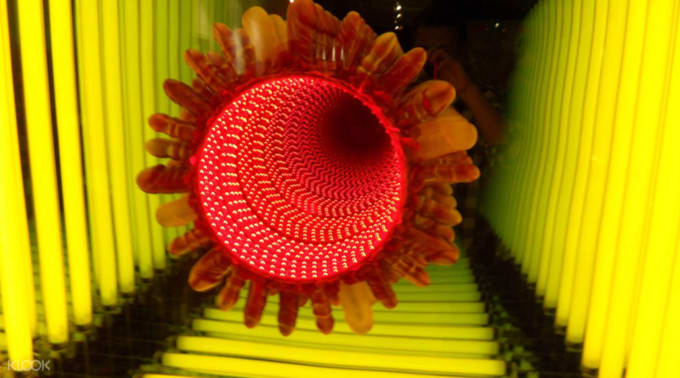 Klook-Bizarre-Experiences-Museum-of-Sex