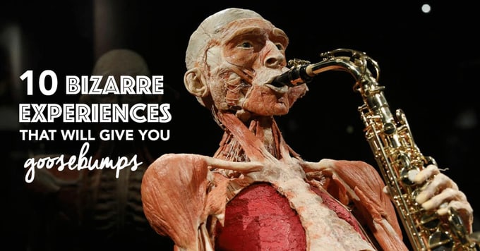 Klook-Bizarre-Experiences-Cover