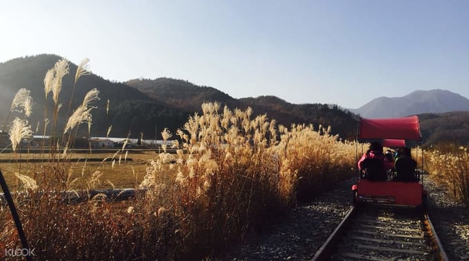 How-To-Make-The-Most-Out-Of-Your-Trip-To-South-Korea-gapyeong-rail-bike