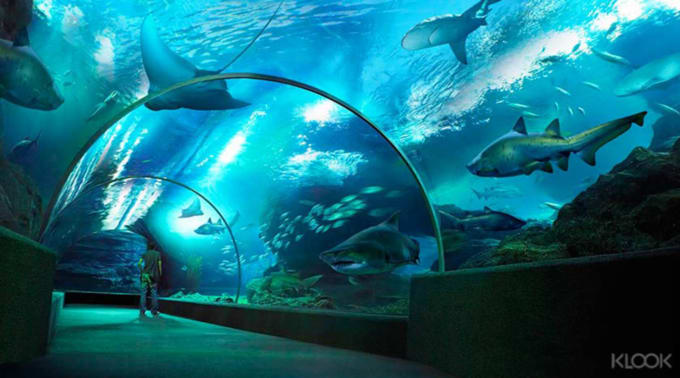 SEA LIFE Bangkok Ocean World