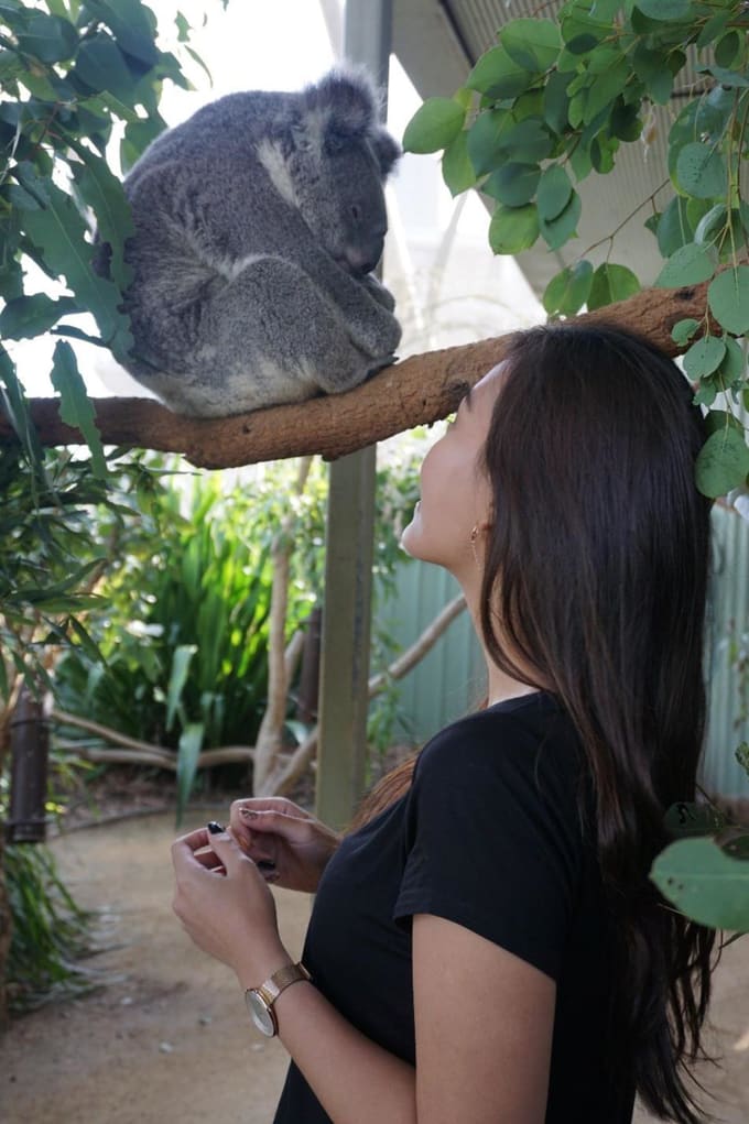 Julia-and-Koala
