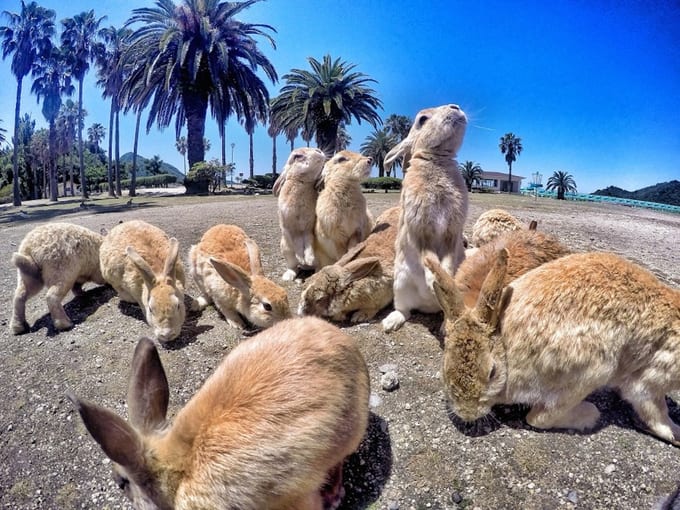 DCIM105GOPROG0955027.