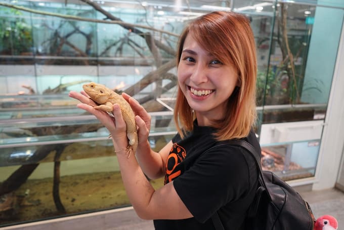 Singapore Zoo - Aktivitas Seru di Singapura