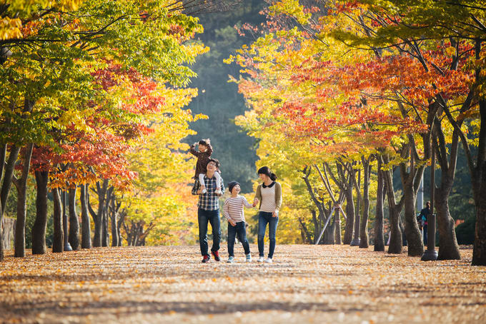 Korea di Musim Gugur
