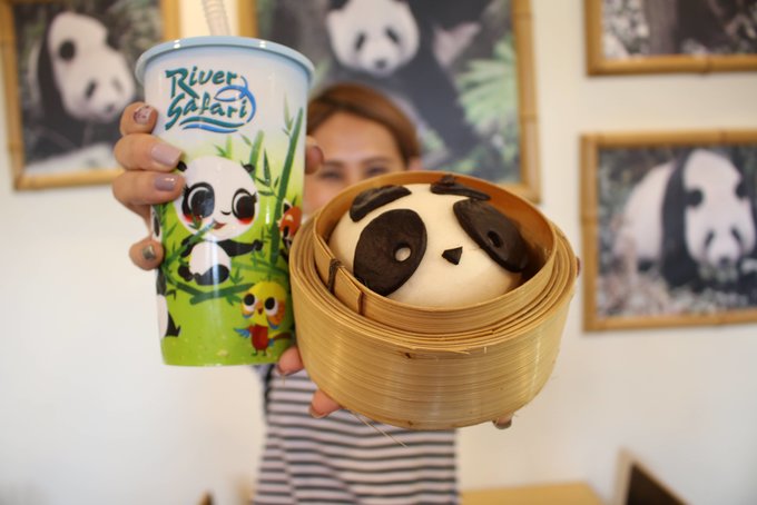 all-you-need-to-know-about-Singapore's-zoological-parks-panda-pau