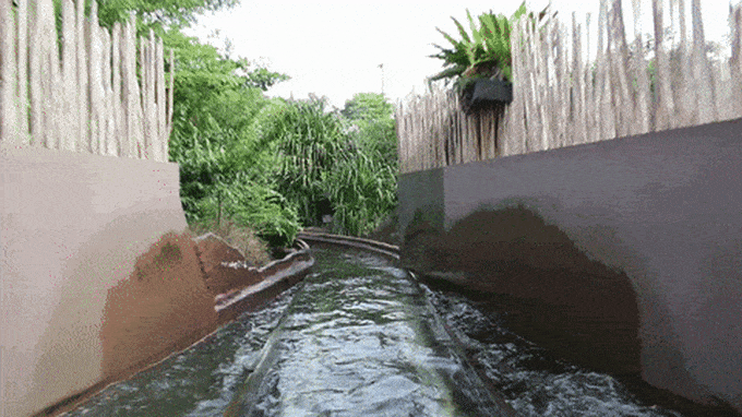all-you-need-to-know-about-Singapore's-zoological-parks-river-safari-amazon-quest