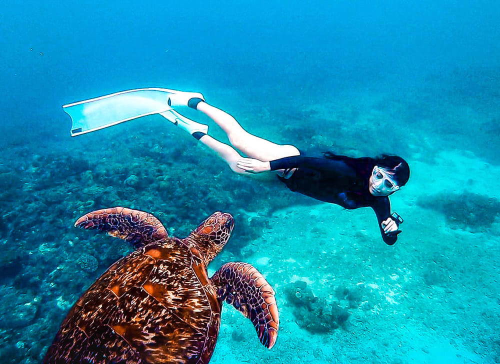  與海龜共泳潛水 – 水中與海龜合照2