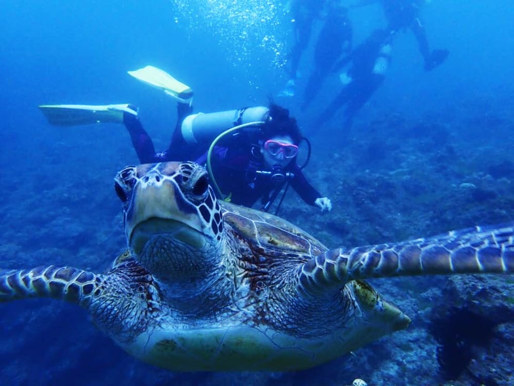  與海龜共泳潛水 – 水中與海龜合照1