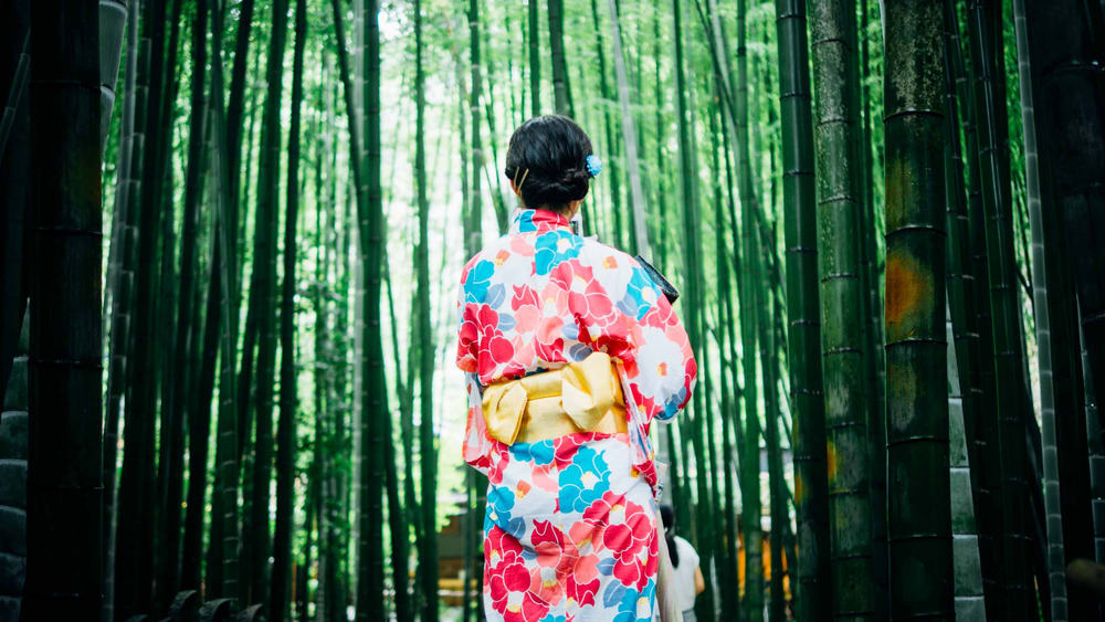 Membuat Visa Jepang: indahnya Bamboo Forest di Jepang