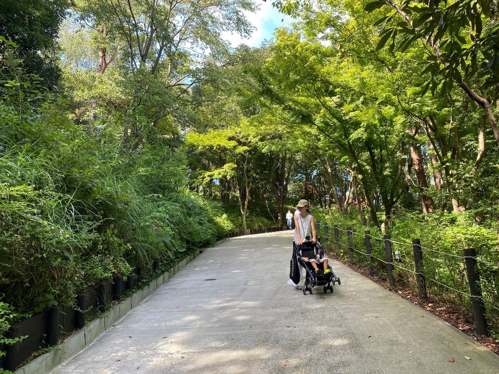 おさびし山を登る坂道