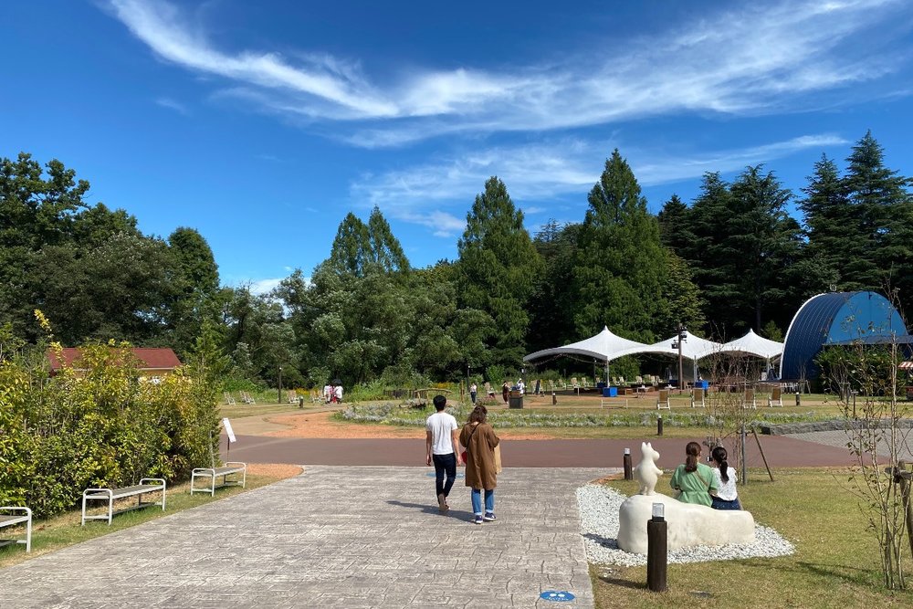 ムーミンバレーパークの木々