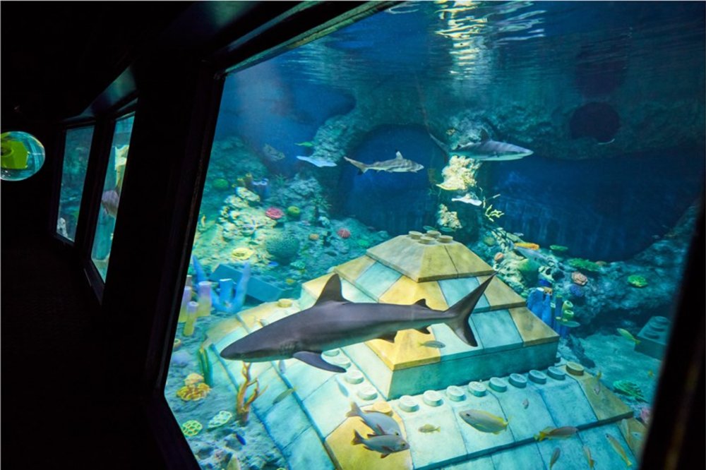 サブマリン・アドベンチャー