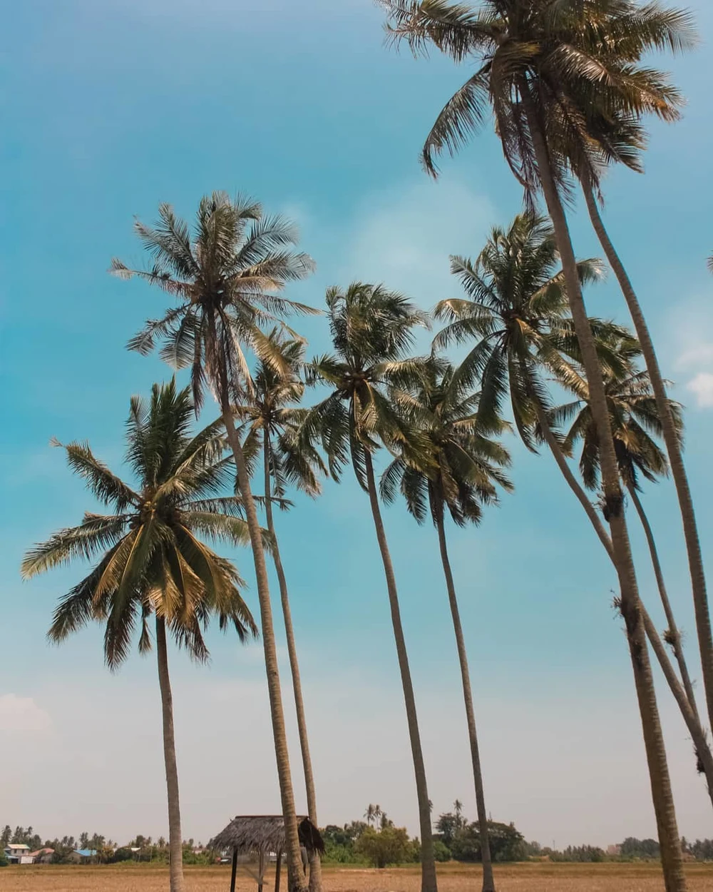 Kampung Agong Penang