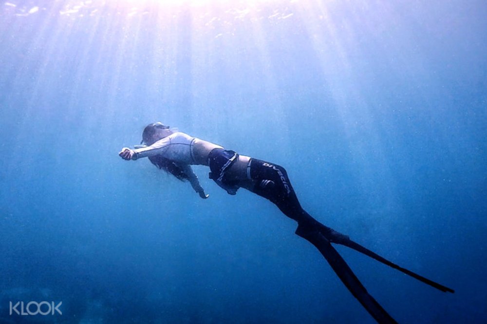 Semporna Sabah Diving License Padi