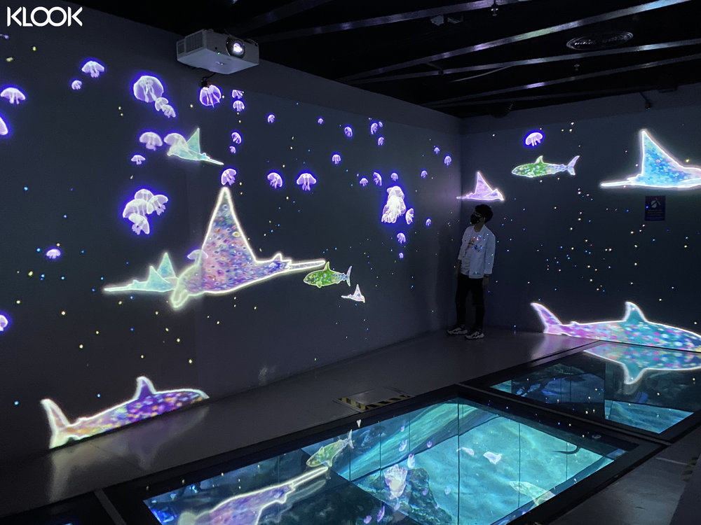 shark walk พิพิธภัณฑ์สัตว์น้ำ ซีไลฟ์ แบงคอก