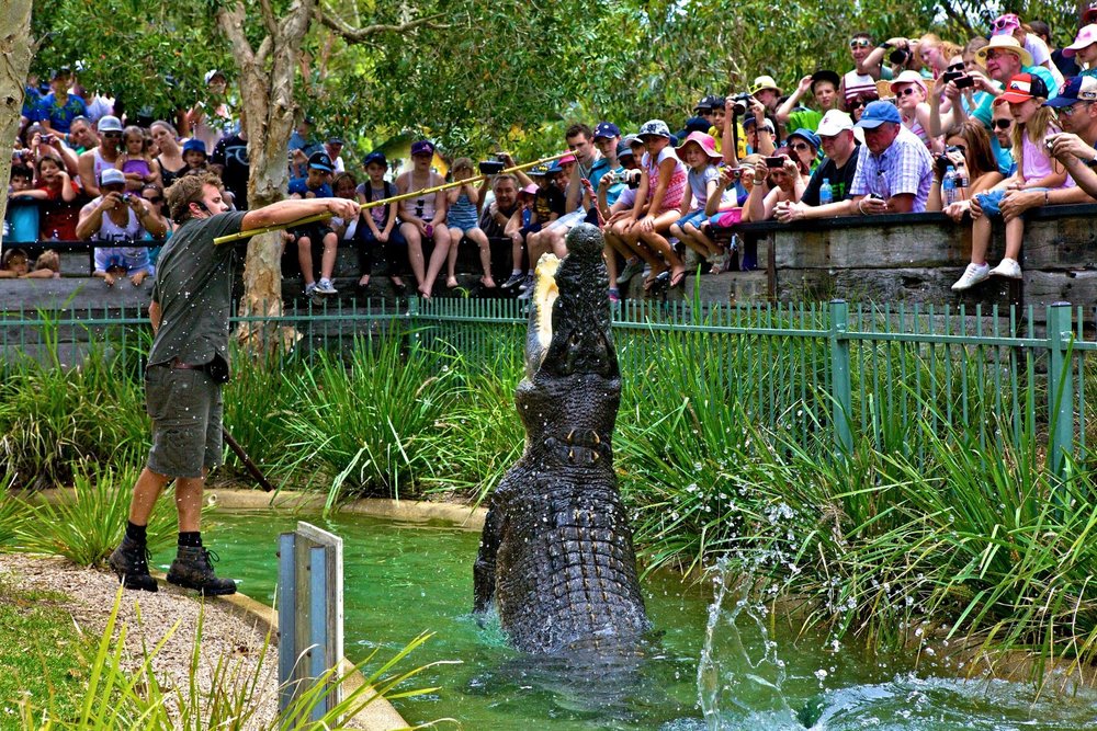 Aus Reptile Park