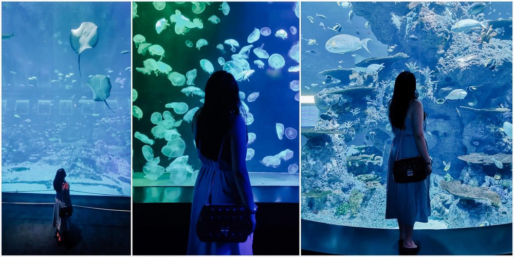 thuy-cung-sea-aquarium-singapore