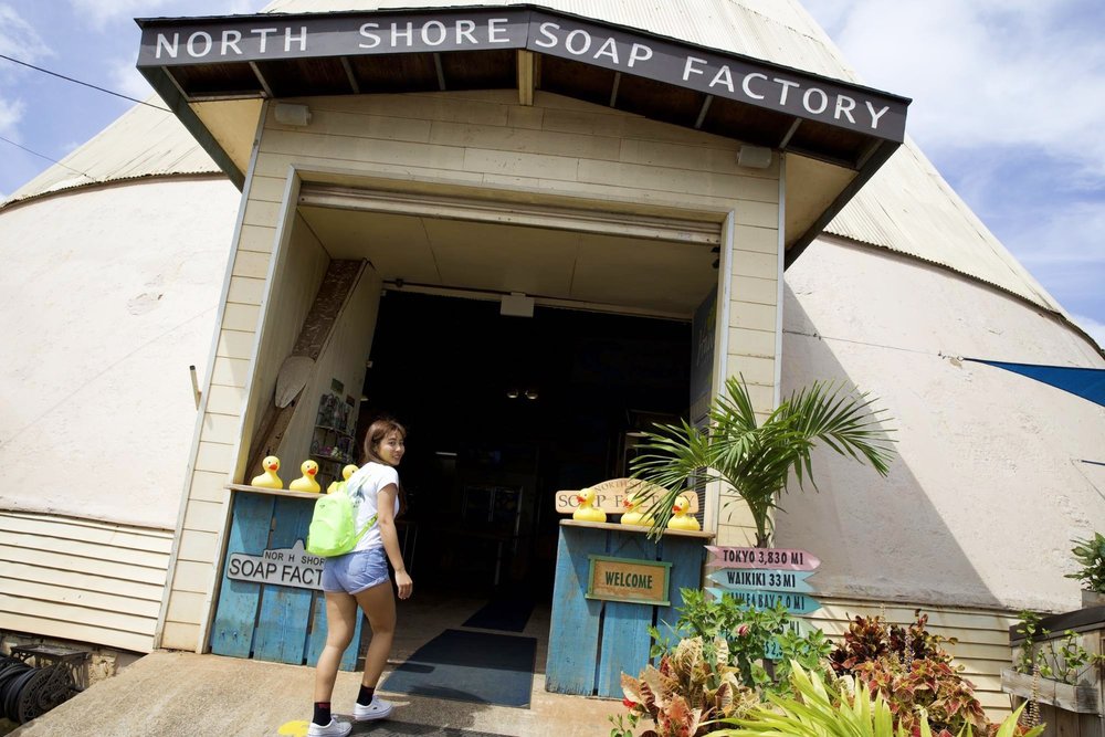 [2020最新ハワイ] KCCファーマーズマーケット&ノースショアのツアーに参加してみた