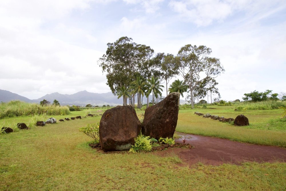 [2020最新ハワイ] KCCファーマーズマーケット&ノースショアのツアーに参加してみた