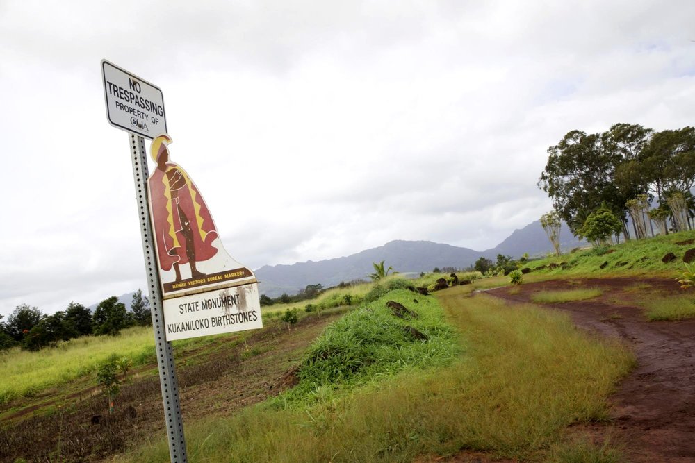 [2020最新ハワイ] KCCファーマーズマーケット&ノースショアのツアーに参加してみた