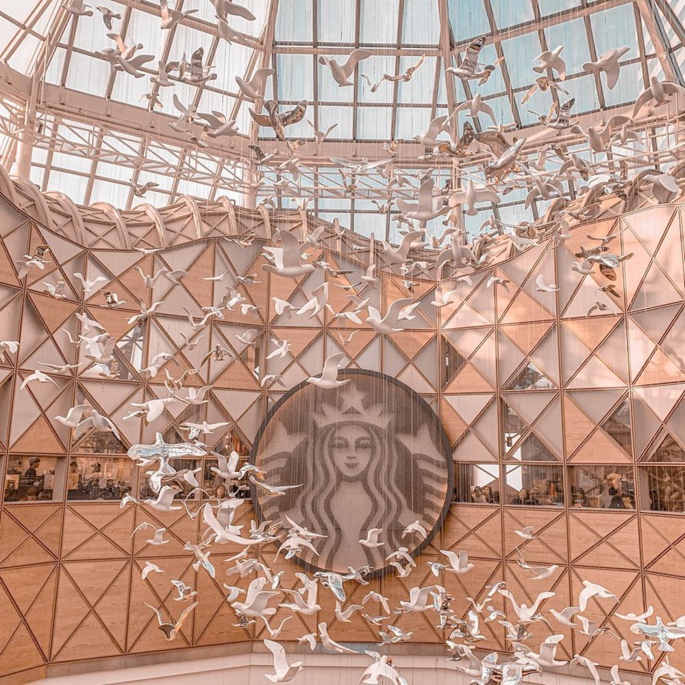 Starbucks Famille Park Korea