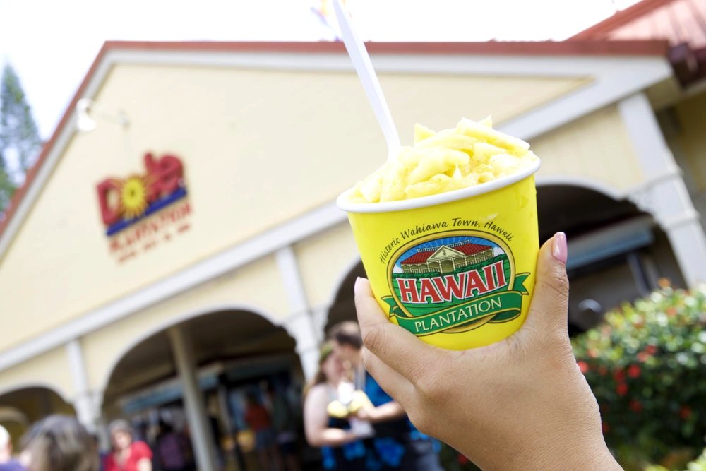 [2020最新ハワイ] KCCファーマーズマーケット&ノースショアのツアーに参加してみた