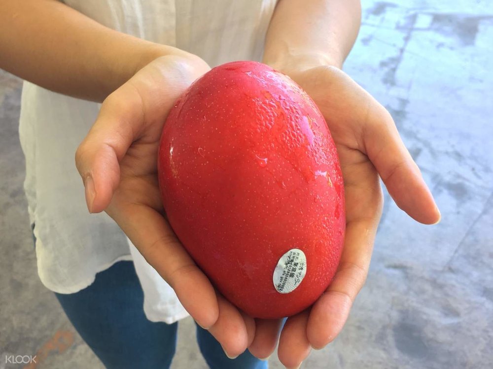 台湾マンゴーお取り寄せ