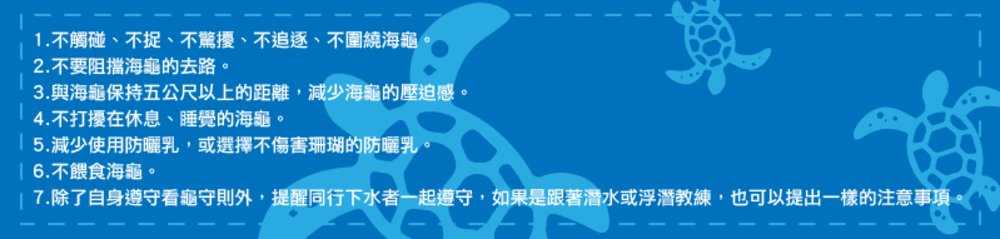 看龜守則