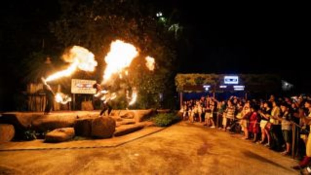 Singapore Night Safari show