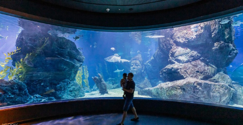 A day out at SEA Life Bangkok for families and kids