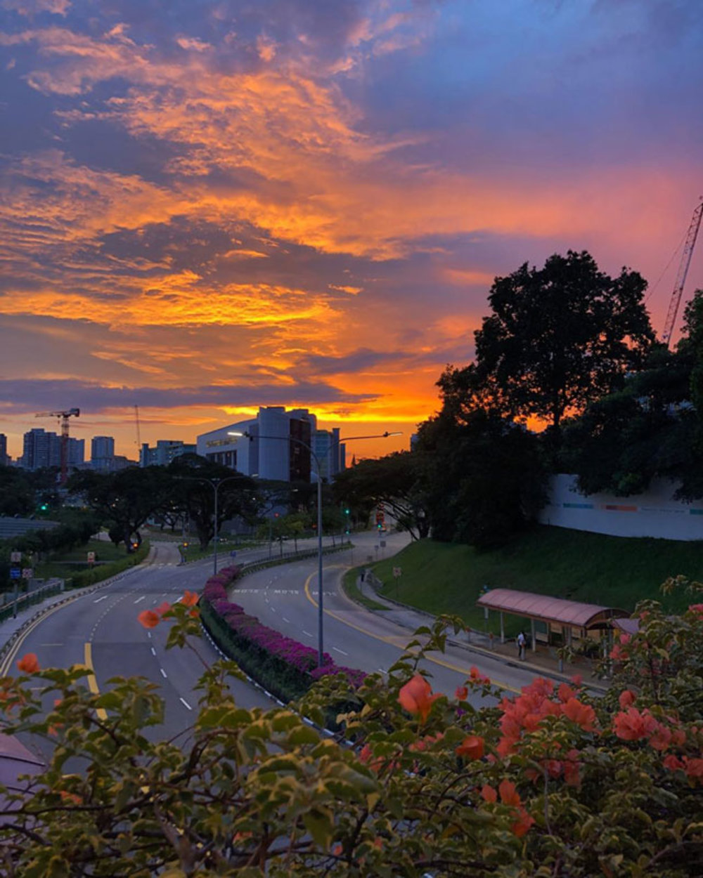 singapore-sunset-19