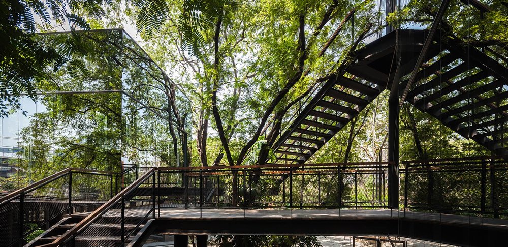 ในป่า Naiipa ที่เที่ยวธรรมชาติกรุงเทพฯ