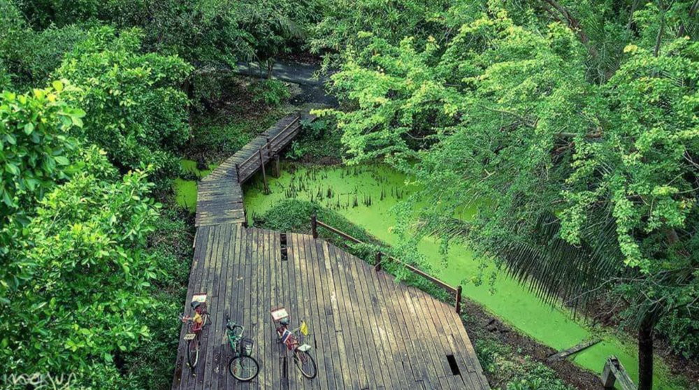 เที่ยวธรรมชาติ บางกระเจ้า