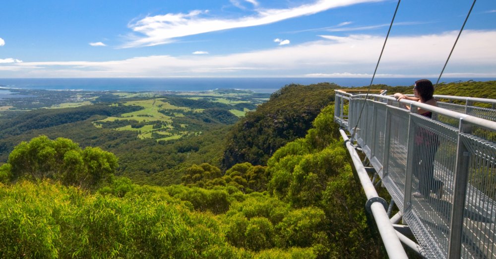 TreeTop Walk