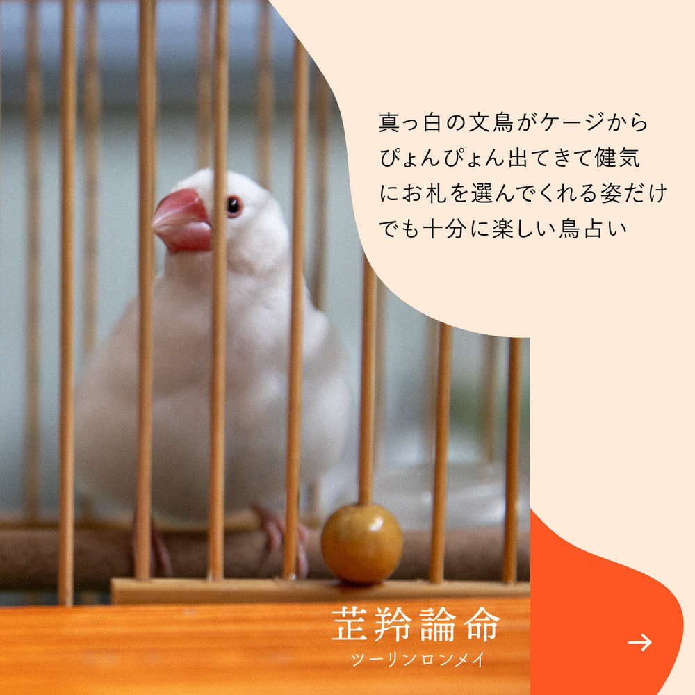 台湾妄想トリップ