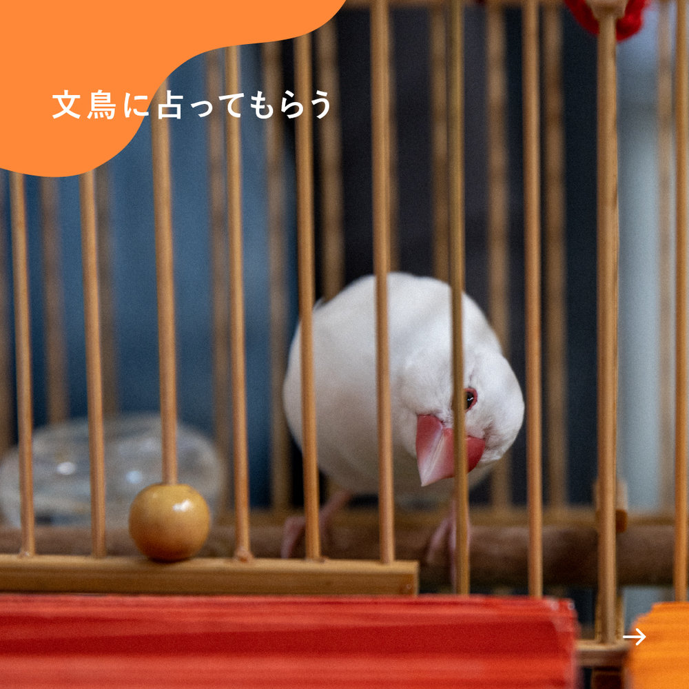 台湾妄想トリップ