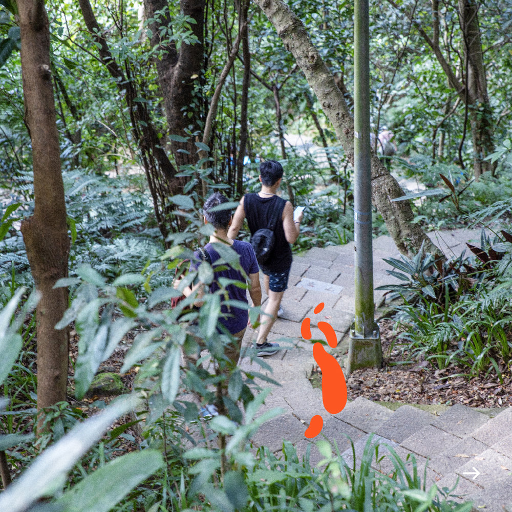 台湾妄想トリップ