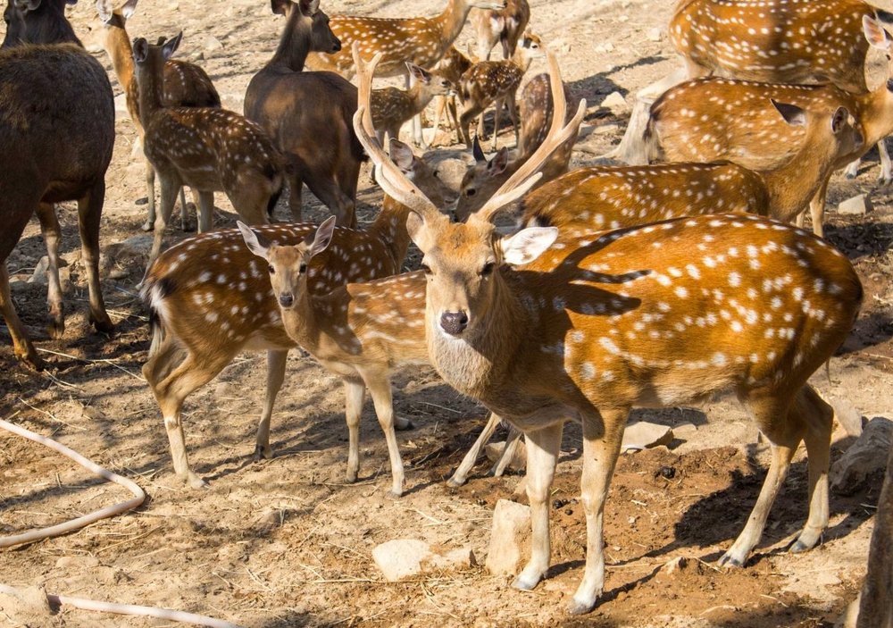 cong-vien-ho-may-vung-tau